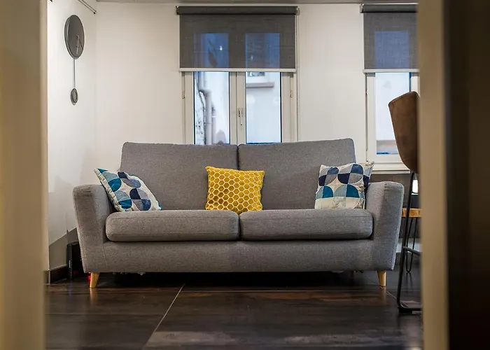 Appart 4 Pers Design Et Cosy Avec Jardin Au Coeur De Selestat